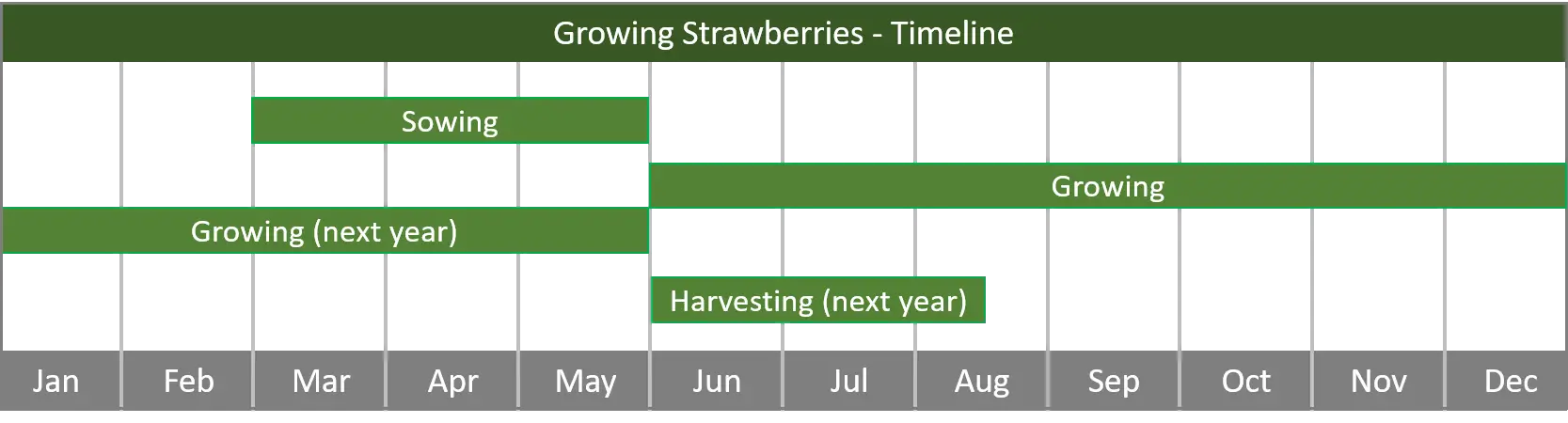 how to grow strawberries from seed to harvest - timeline