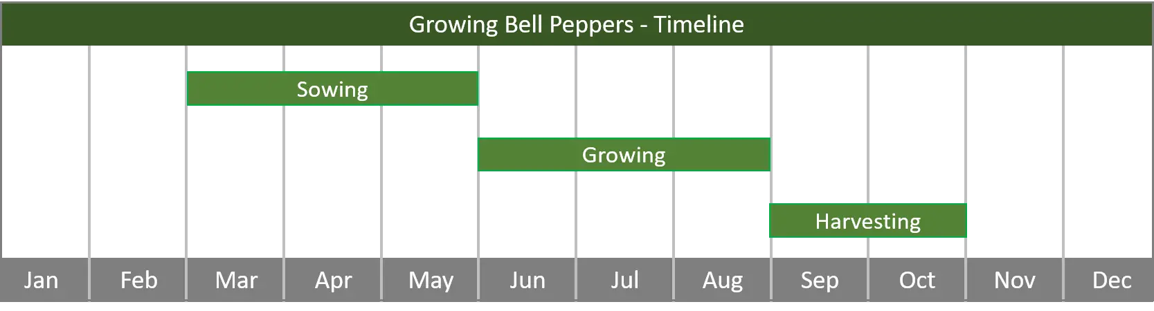 how to grow bell peppers from seed to harvest at home timeline