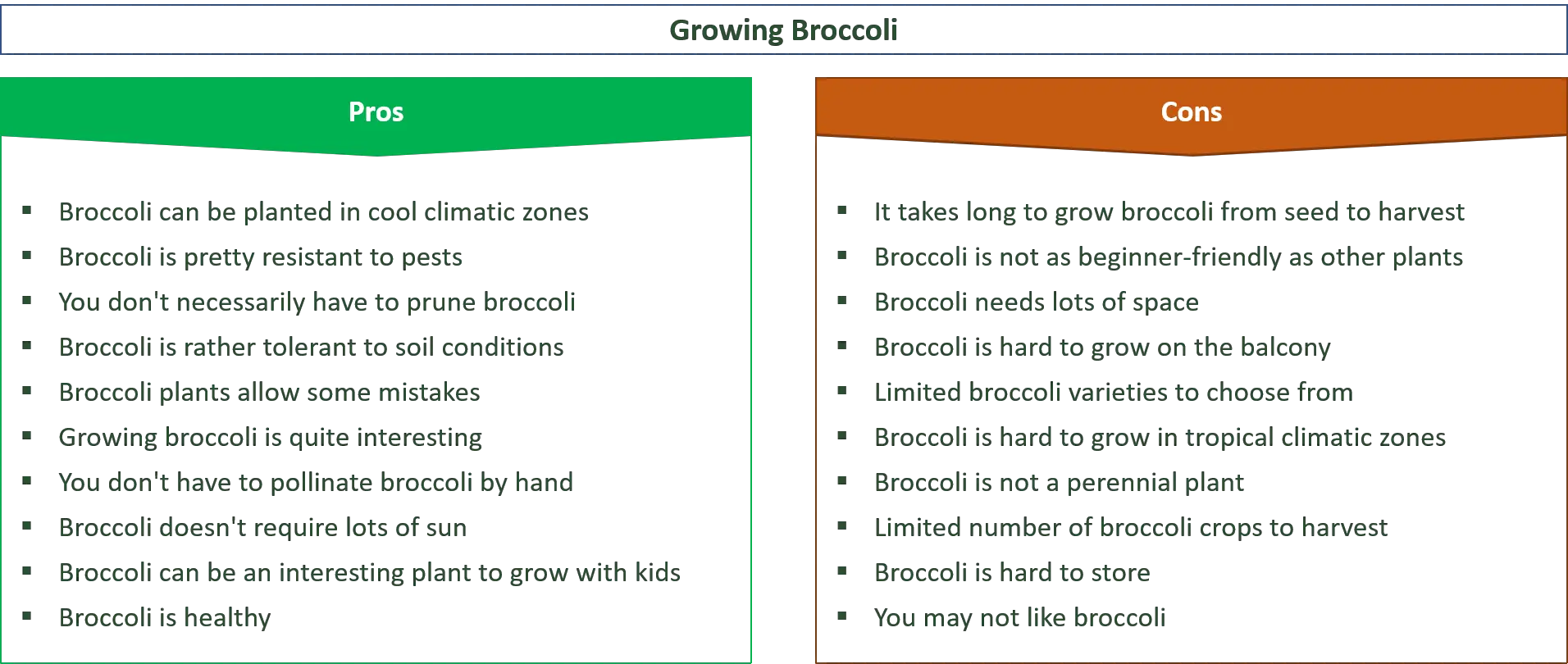 advantages and disadvantages of growing broccoli
