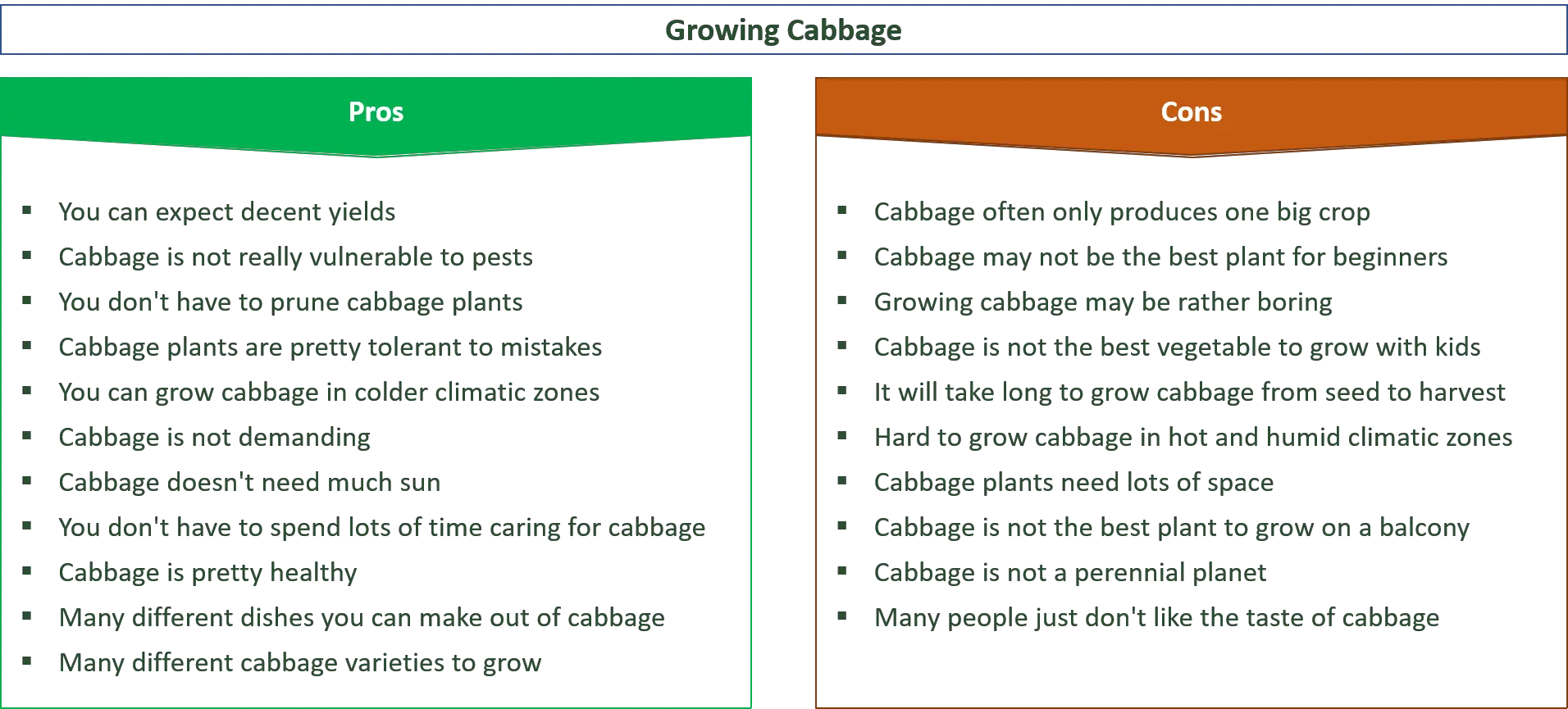advantages and disadvantages of growing cabbage