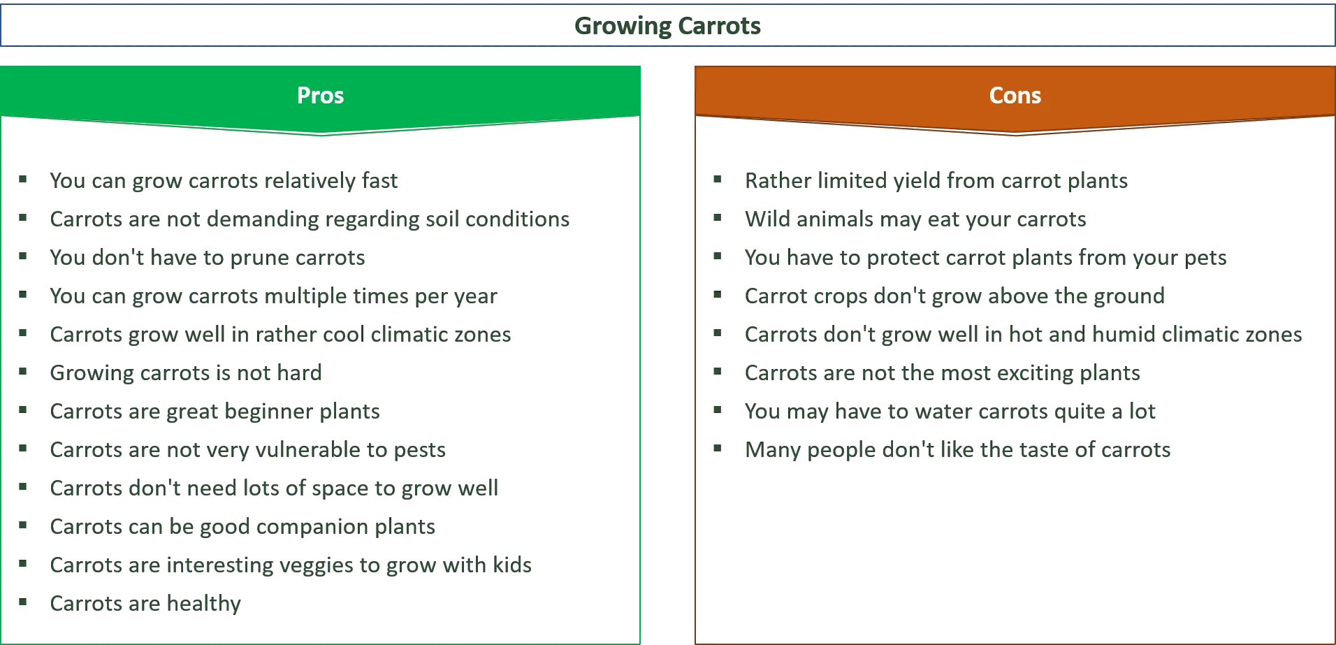 advantages and disadvantages of growing carrots