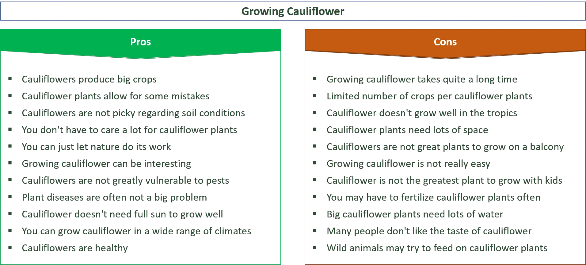 advantages and disadvantages of growing cauliflower